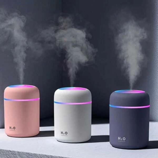 Portable Humidifier