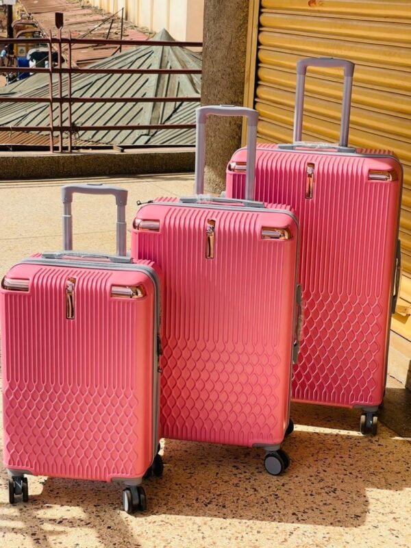 A Set Of 3Pcs Travel Suitcases